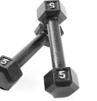 a pair of cast iron dumbbells